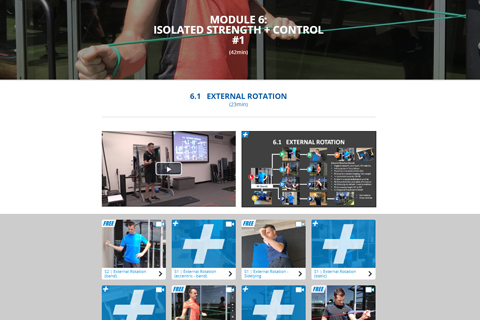 The Knee - Online Course